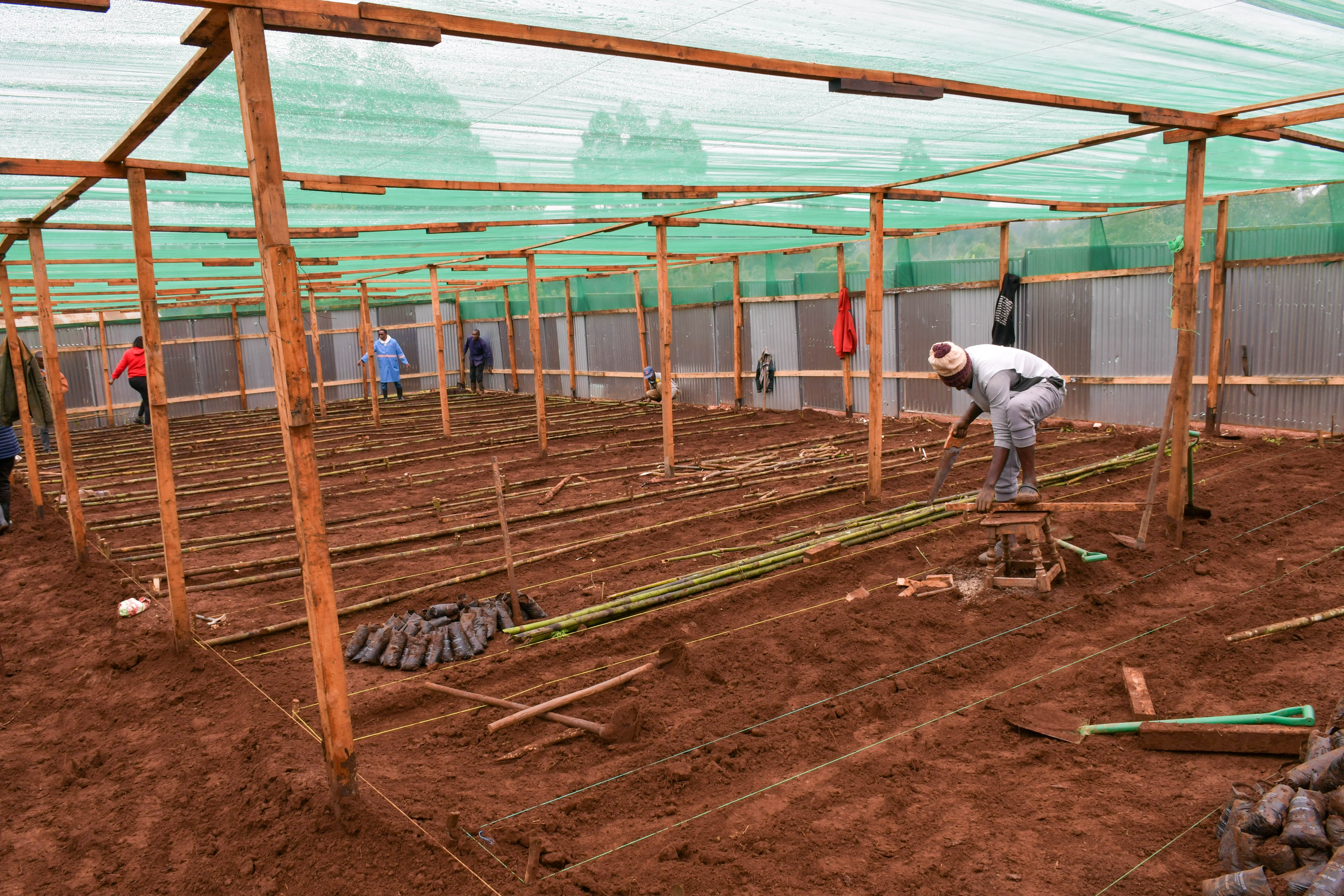 Tree Nursery Construction